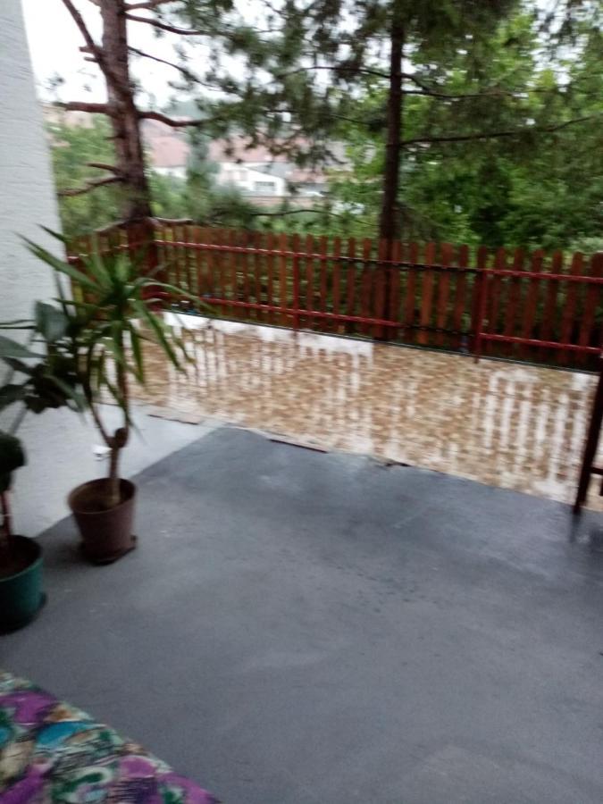 Family Apartman Ana - Star Golubac Dış mekan fotoğraf