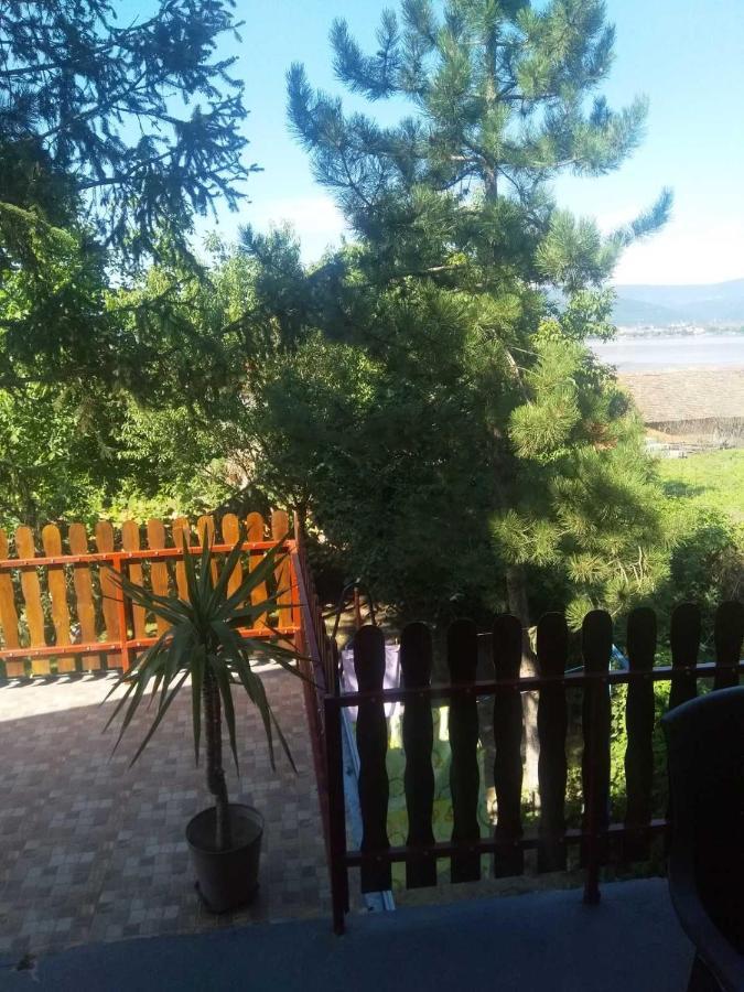 Family Apartman Ana - Star Golubac Dış mekan fotoğraf