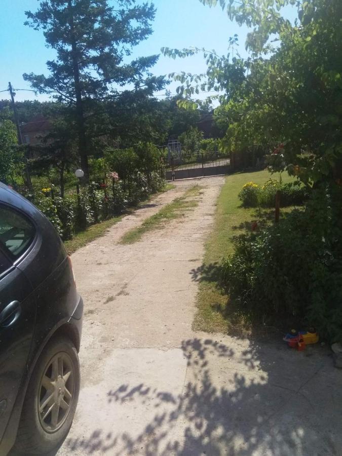 Family Apartman Ana - Star Golubac Dış mekan fotoğraf