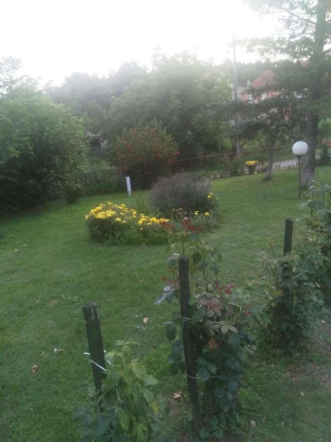 Family Apartman Ana - Star Golubac Dış mekan fotoğraf
