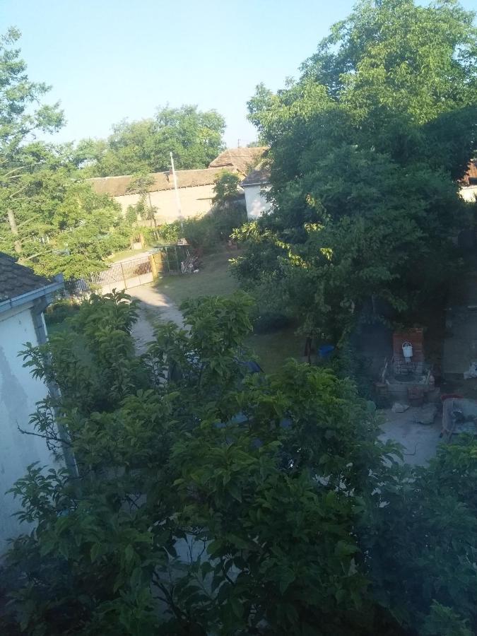 Family Apartman Ana - Star Golubac Dış mekan fotoğraf