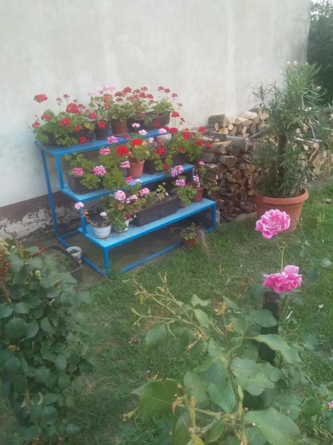 Family Apartman Ana - Star Golubac Dış mekan fotoğraf